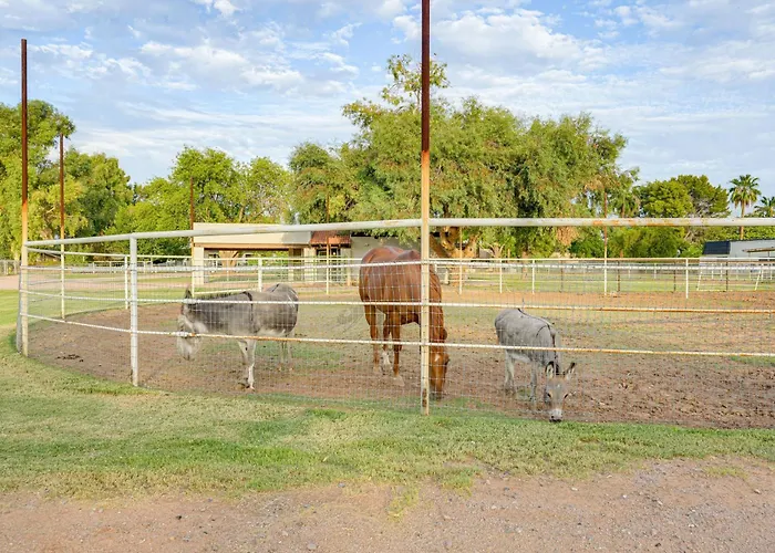 Family On > 2 Acres W/ Stables In Gilbert! Holiday home *